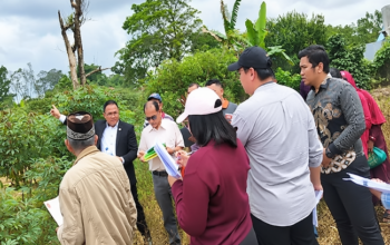 Sengketa Tanah di PN Sidikalang, Kuasa Hukum Sarah Sagala Soroti Dugaan Kejanggalan Dokumen